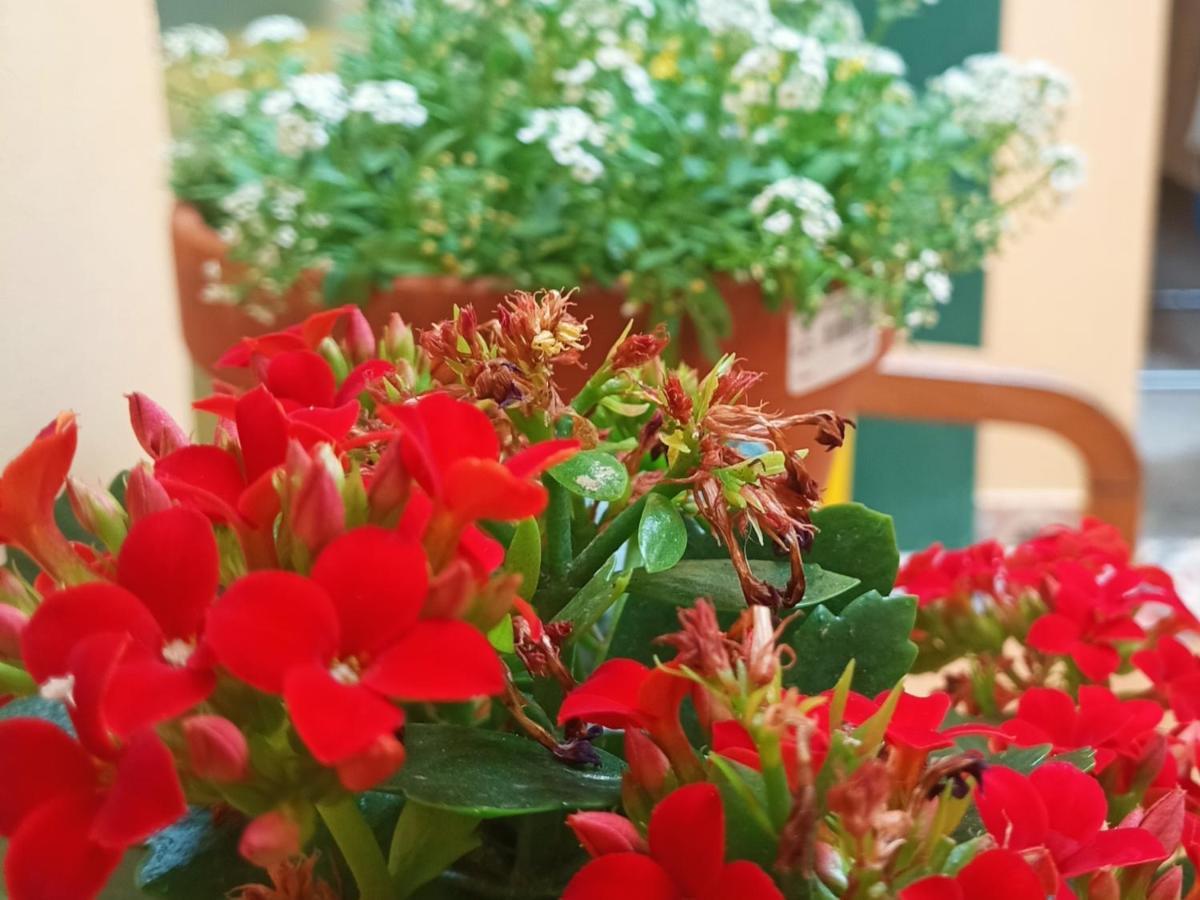 Auberge de jeunesse Allegro Santander